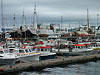 19_hafen_walfangflotte